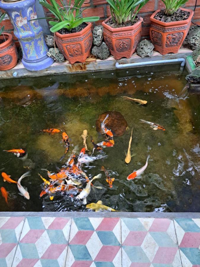 Hoa Lan Motel & Homestay Giong Tu Dien 外观 照片